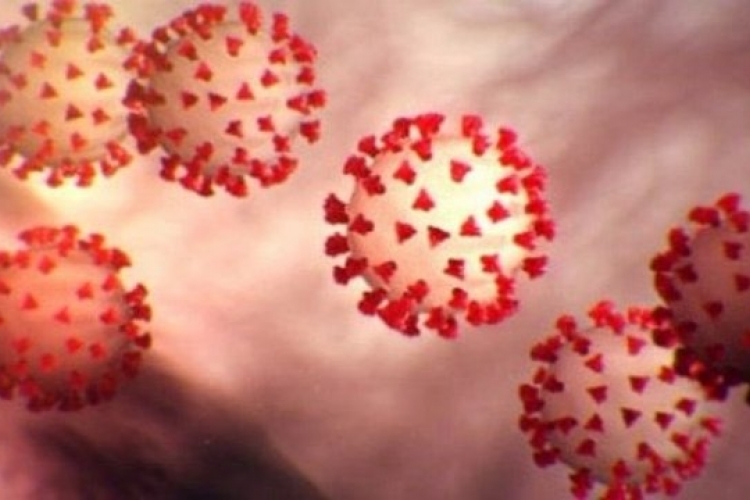 Indian Summer may hold a pleasant surprise; could slow down corona spread