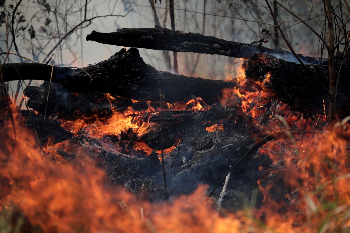 A tract of the Amazon jungle burns as it is cleared by loggers and farmers in Porto Velho, Brazil August 24, 2019. REUTERS/Ueslei Marcelino