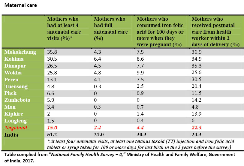 Maternal Care