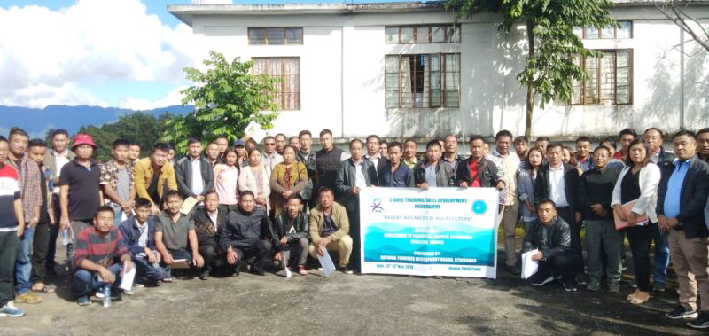 Directorate of Fisheries