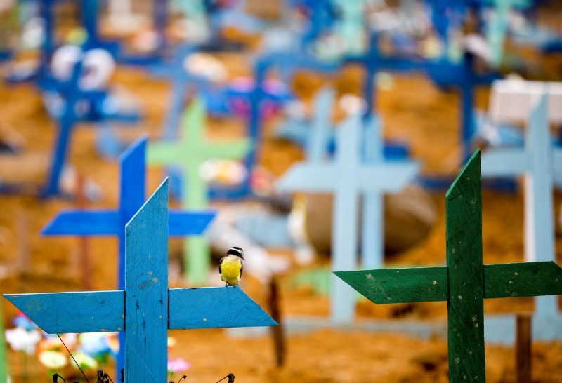 A bird is pictured over a cross during a mass burial of people who passed away due to the coronavirus disease (COVID-19), at the Parque Taruma cemetery in Manaus, Brazil. REUTERS Photo