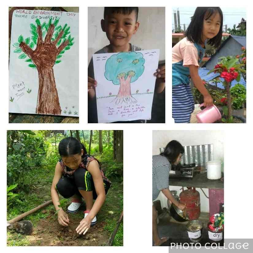 Mount Saramati School students and staff observed World Environment Day under the theme 'Biodiversity' with activities like watering plants, planting saplings, cleaning surroundings, managing wastes etc which were carried out in their homes.