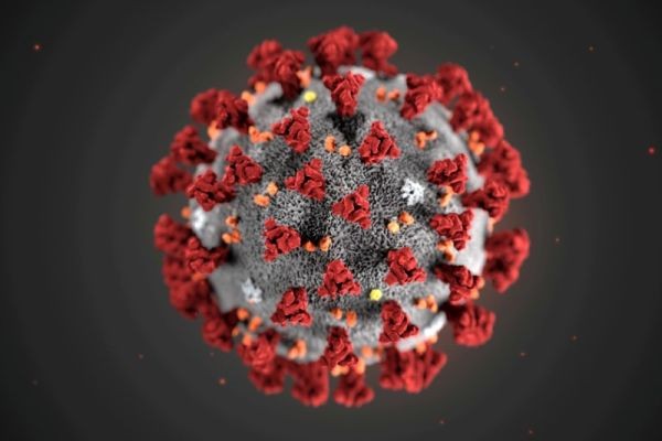 The ultrastructural morphology exhibited by the 2019 Novel Coronavirus (2019-nCoV), which was identified as the cause of an outbreak of respiratory illness first detected in Wuhan, China, is seen in an illustration released by the Centers for Disease Control and Prevention (CDC) in Atlanta, Georgia, U.S. January 29, 2020. (REUTERS File Photo)