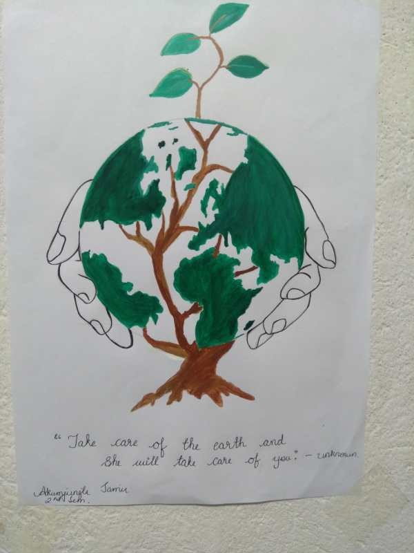 Modern Institute of Teacher Education, Kohima conducted a virtual celebration of World Environment Day with a painting competition and photography competition. (Photo Courtesy: MITE)
