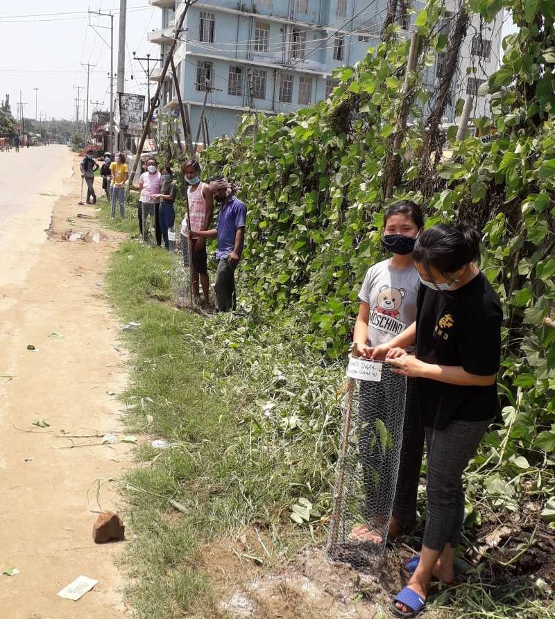 VBIDH Primary School, Kevijau Colony, Dimapur planted plants on both sides of the main road at Kevijau colony under the supervision of Janjati Shiksha Samiti, Nagaland Secretary, Mangyangtula Jamir on the occasion of World Environment Day 2020.