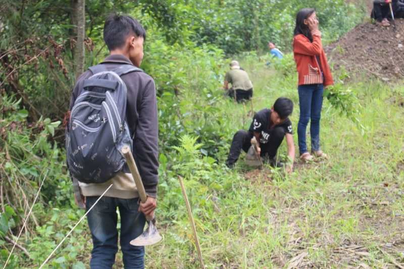 Celebrating World Environment Day, the Porbami Students' Union (PSU) organised a tree plantation drive on June 5. Aiming to further educate the people of the importance of green-conservation, the Union planted about 2500 tree saplings in the village surroundings also from Vecüthe to Peace Camp (Pfütsero to Phek) by the Two-Lane Road leading to Porba, NRCM- KVK Link Road. Dietho Swüro, Ranger, Pfütsero Range and Salie Rüho, Dy Ranger, Chizami Beat arranged the tree saplings. (Photo Courtesy: PSU)