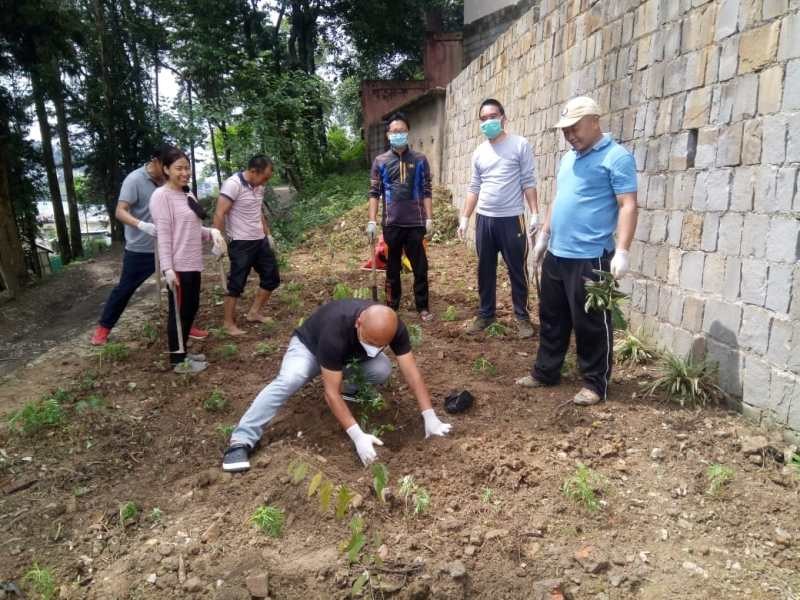 Samagra Shiksha Nagaland staff observed World Environment Day on June 5. Led by Dr. Kevizakie Rio, Joint Mission Director, the staff carried out cleanliness drive at the Directorate of School Education. They planted flowers and fruit trees in the Directorate compound.