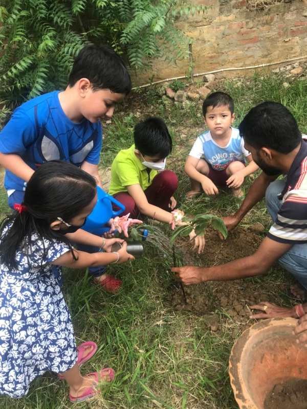 Students of St. Mary's Higher Secondary School, Dimapur observed World Environment Day on June 5 with activities like drawing and planting trees in their respective homes guided by their family members.