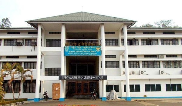 View of the ICAR-NRCM, Medziphema office building. (File Photo)