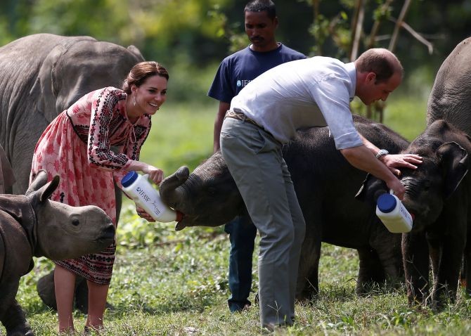 Prince William, Duke of Cambridge, and his wife Catherine help out in feeding baby elephants during their 2016 visit to the Kaziranga National Park in Assam. Photograph: Heathcliff O'Malley/ Getty Images