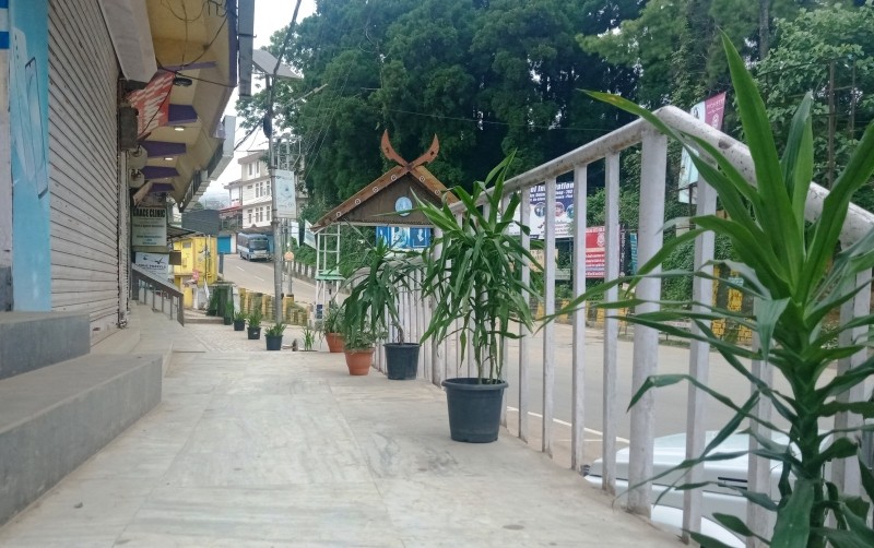 Potted greens and plants place along the streets of the state capital Kohima as part of ‘The Green Line Experiment’. (Morung Photo)