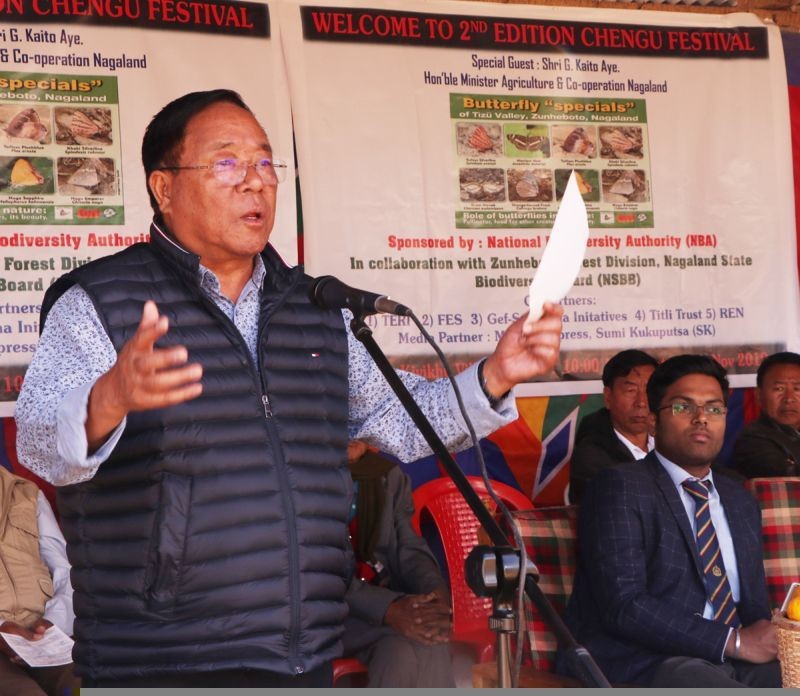 Nagaland Minister for Agriculture and Cooperation, G Kaito Aye. (File Photo)