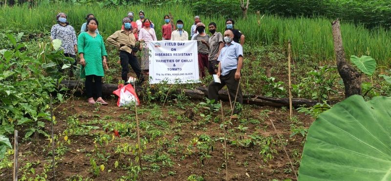 Participants during the trainings, demonstrations and field day programme conducted bt ATMA Kobulong Block, Mokokchung. 