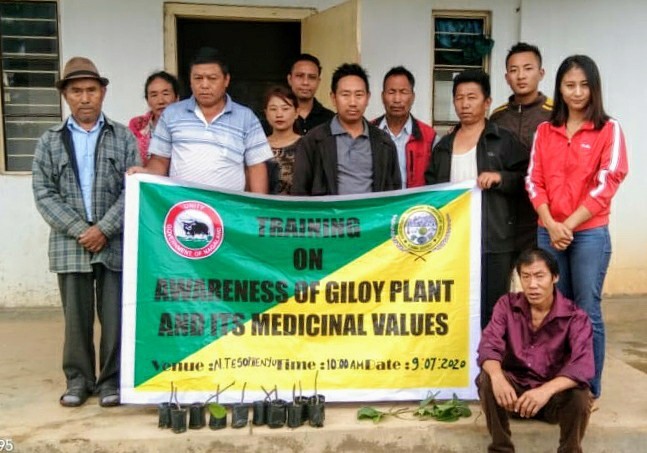 Participants during the training on awareness of Giloy plant (Tinospora cordifolia) and its medicinal values organized by ATMA Chunlikha block, Kohima at New Tesophenyu on July 9.