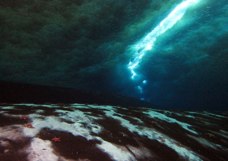 Clusters of microbes are seen on the bottom of the ocean floor in the Ross Sea, indicating a methane seep, as a crack in the ice above lets in light, in Antarctica, in this handout photo taken in 2016. (REUTERS File Photo)
