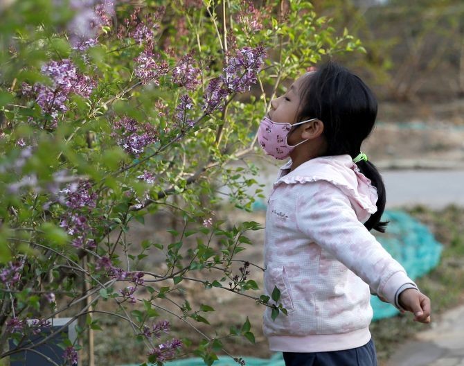 A girl smells blooming flowers at a park after removing her protective face mask, as the country is hit by an outbreak of the novel coronavirus disease in Beijing, China. Photograph: Tingshu Wang/Reuters