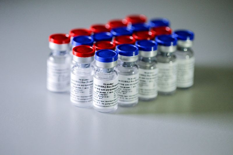 A handout photo provided by the Russian Direct Investment Fund (RDIF) shows samples of a vaccine against the coronavirus disease (COVID-19) developed by the Gamaleya Research Institute of Epidemiology and Microbiology, in Moscow, Russia August 6, 2020. Picture taken August 6, 2020. The Russian Direct Investment Fund (RDIF)/Handout via REUTERS