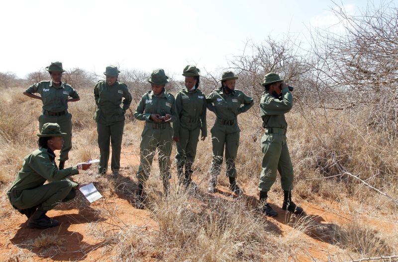 Members of Team Lioness, an all-female Kenyan ranger unit, take GPS coordinates for mapping during a patrol as they stay at Risa camp due to the coronavirus disease (COVID-19) outbreak, within the Olgulului conservancy in Amboseli, Kenya on August 7, 2020. (REUTERS File Photo)