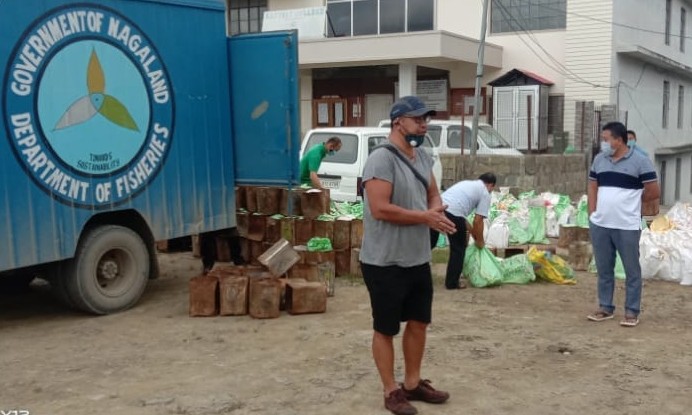 The MLA from 10th Northern Angami A/C, Khriehu Liezietsuhas funded the distribution of fish and vegetable-seeds to more than 500 farmers from his constituency on August 15.  It was distributed with the objective of advocating self sufficiency and independent living amidst the COVID-19 pandemic, a press release informed. The MLA had earlier distributed essential commodities, masks and sanitisers to the needy people from his constituency on three different occasions, it said. A close associate of the MLA while chairing distribution programme also informed that all the Primary Health Centres and Quarantine Centres within the constituency would be soon provided with goodwill gesture from the Office of the MLA.
