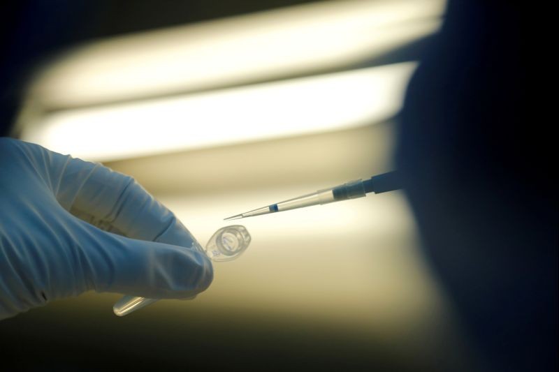 A scientist prepares samples during the research and development of a vaccine against the coronavirus disease (COVID-19) at a laboratory of BIOCAD biotechnology company in Saint Petersburg, Russia on June 11, 2020. (REUTERS File Photo)