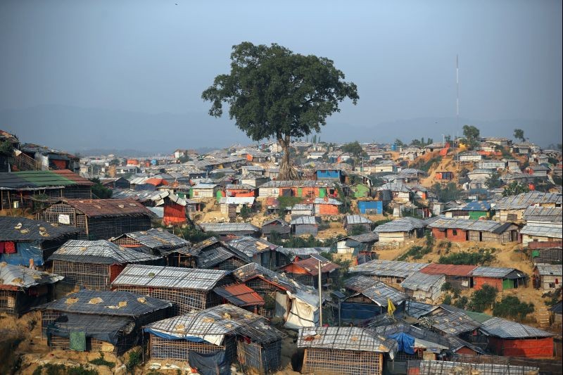 A banyan tree is seen at Balukhali camp in Cox's Bazar, Bangladesh on November 16, 2018. (REUTERS File Photo)