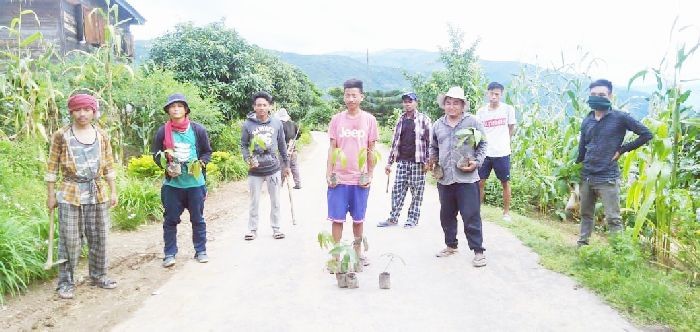 Members of Eco Club Tethuyo during the plantation drive around Tethuyo village on August 10. (Morung Photo)