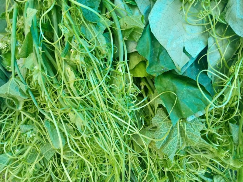 Organic items put for sale at the weekly organic market in Kohima on September 9.  To promote organic products and to uplift economy, Angami Youth Organization and Kohima Municipal Council have initiated weekly organic market at the North Gate of Kohima Local Ground, which will open every Wednesday. (Morung Photo)