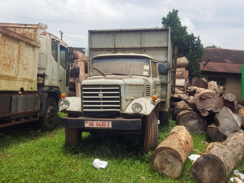 Logs of hardwood tree Afzelia Africana "African Mahogany" seized from various illegal loggers for export are piled in the lawn of the state-run National Forestry Authority (NFA) head offices in Kampala, Uganda March 22, 2020. (REUTERS File Photo)
