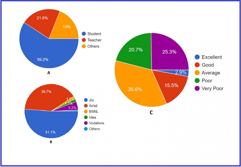 Pie-charts depicting the nature of the participants (A), the service provider (B), and their quality (C).