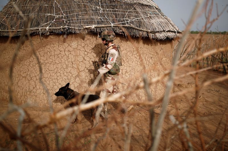 A French soldier of the "Belleface" Desert Tactical Group (GTD) uses a sniffer dog to check for explosives during an area control operation in the Gourma region during the Operation Barkhane in Ndaki, Mali on July 29, 2019. (REUTERS File Photo)