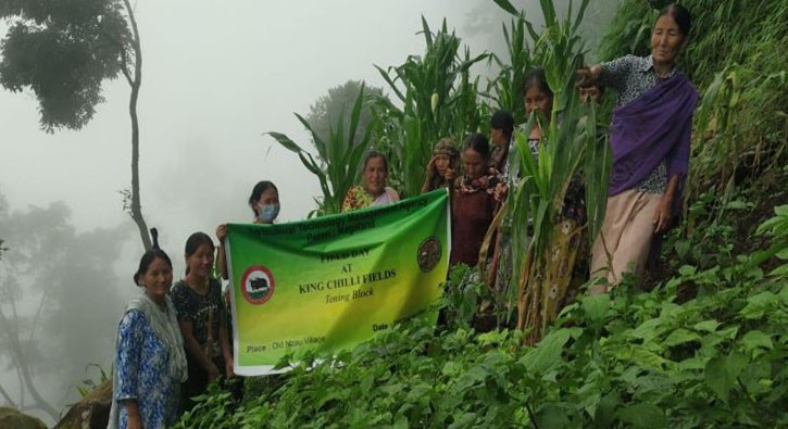 Farmers and others during the field day on king chilli organised at a king chilli farm, Old Nzau on September 2. (Photo Courtesy: ATMA Peren) 