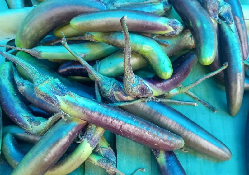 Organic items put for sale at the weekly organic market in Kohima on September 9.  To promote organic products and to uplift economy, Angami Youth Organization and Kohima Municipal Council have initiated weekly organic market at the North Gate of Kohima Local Ground, which will open every Wednesday. (Morung Photo)