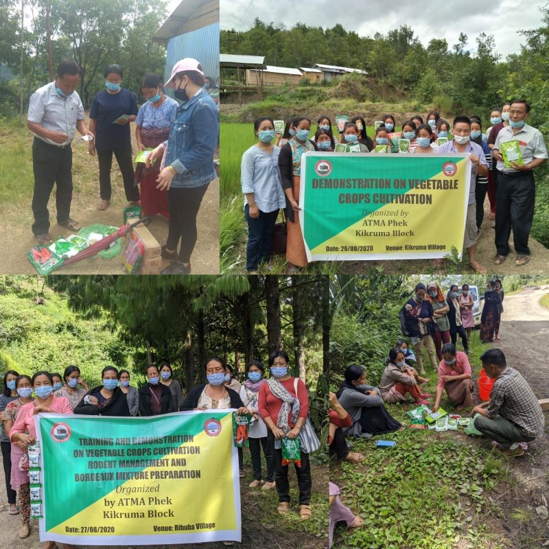 ATMA Phek Kikruma Block conducted demonstration on cultivation of winter vegetable crops at Kikruma village on August 26.