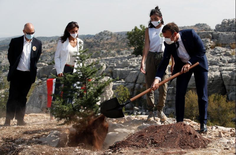 French President Emmanuel Macron plants a cedar next to members of the NGO Jouzour Loubnan in Jaj, near Beirut, Lebanon on September 1. (REUTERS Photo)