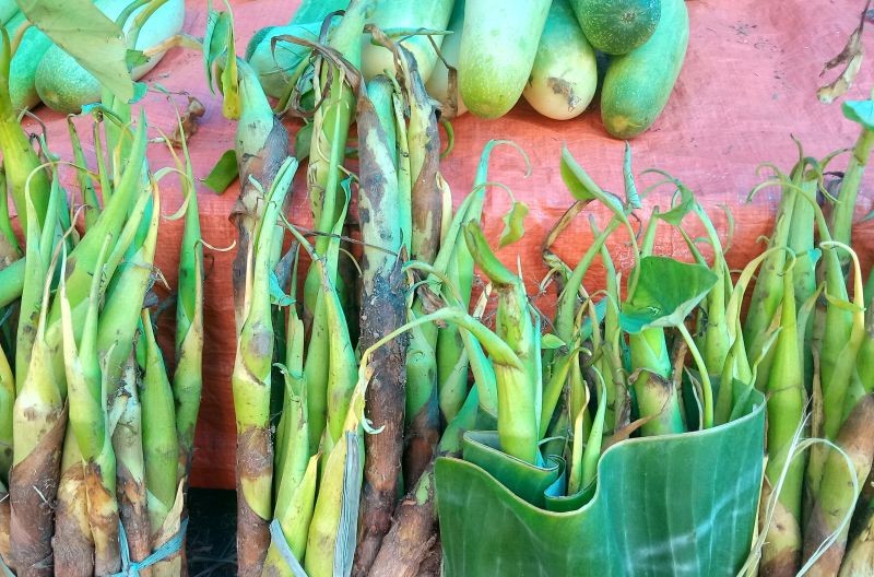 Organic items put for sale at the weekly organic market in Kohima on September 9.  To promote organic products and to uplift economy, Angami Youth Organization and Kohima Municipal Council have initiated weekly organic market at the North Gate of Kohima Local Ground, which will open every Wednesday. (Morung Photo)