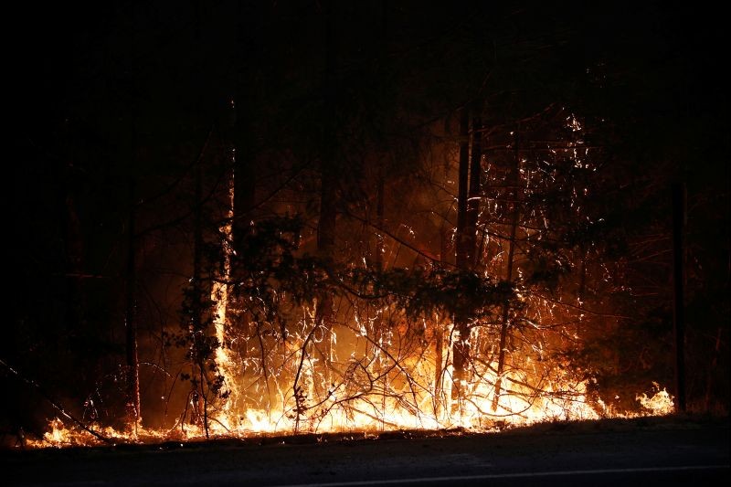 Trees and vegetation are seen engulfed in flames during the Glass Fire in St. Helena, California, US on September 27, 2020. (REUTERS Photo)