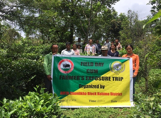 ATMA Chunlikha block conducted 'field day cum farmer’s exposure trip' at Phenda village, Tseminyu on August 18. The farmers along with ATMA staff visited a tea farm school with the farm teacher Shwenga Kent. Local green tea was distributed to the farmers and altogether 15 farmers attended the programme.