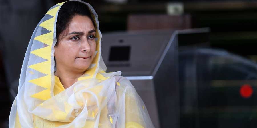 Union minister Harsimrat Kaur Badal (Photo | File/PTI)