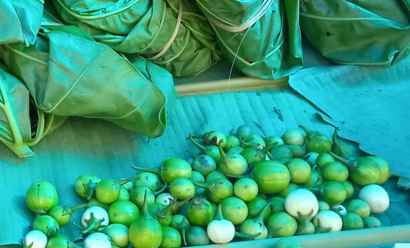 Organic items put for sale at the weekly organic market in Kohima on September 9.  To promote organic products and to uplift economy, Angami Youth Organization and Kohima Municipal Council have initiated weekly organic market at the North Gate of Kohima Local Ground, which will open every Wednesday. (Morung Photo)