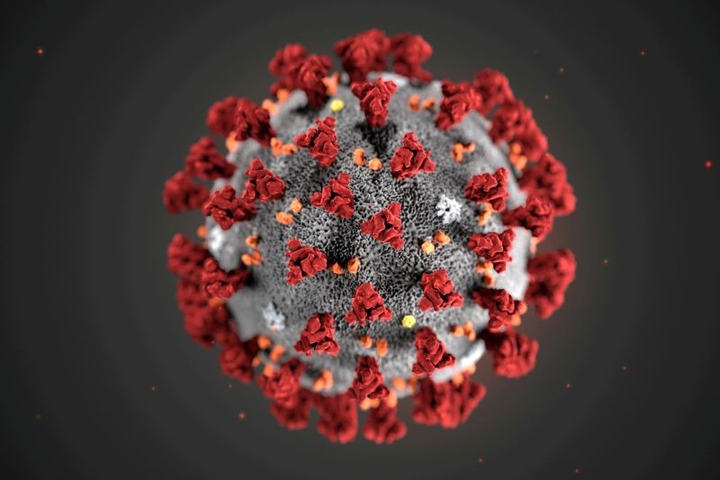 The ultrastructural morphology exhibited by the 2019 Novel Coronavirus (2019-nCoV), which was identified as the cause of an outbreak of respiratory illness first detected in Wuhan, China, is seen in an illustration released by the Centers for Disease Control and Prevention (CDC) in Atlanta, Georgia, US on January 29, 2020. (REUTERS File Photo)