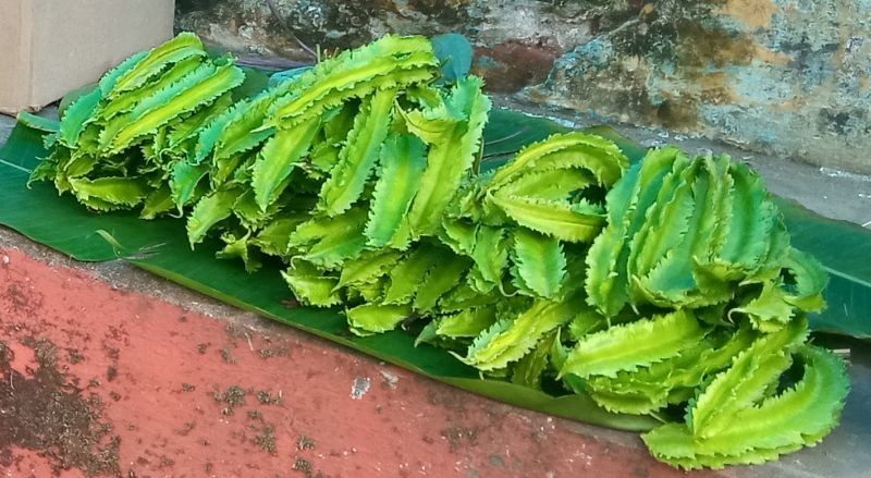 Organic items put for sale at the weekly organic market in Kohima on September 9.  To promote organic products and to uplift economy, Angami Youth Organization and Kohima Municipal Council have initiated weekly organic market at the North Gate of Kohima Local Ground, which will open every Wednesday. (Morung Photo)