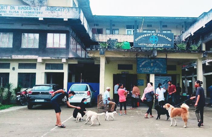 Several people arrive at Kohima Veterinary Hospital to administer rabies vaccination during free rabies vaccination camp on September 28. (Morung Photo)