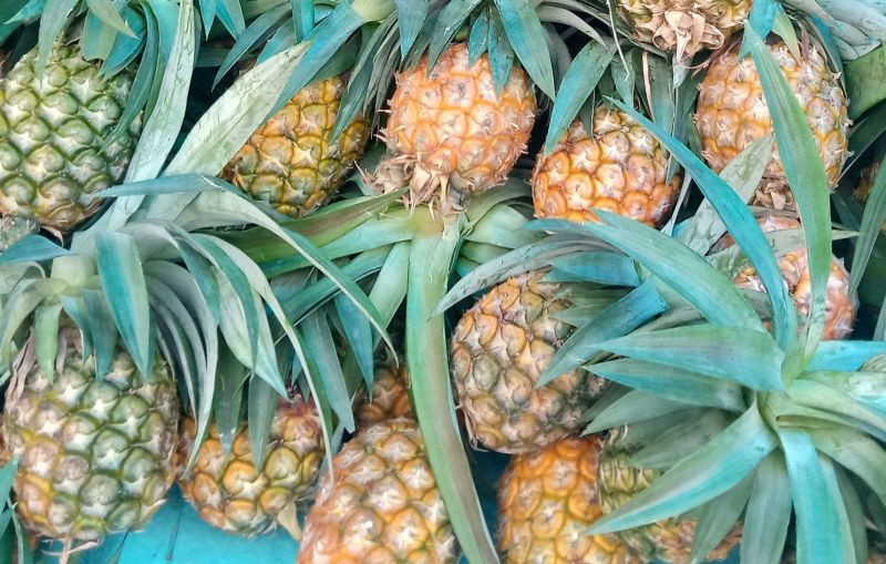 Organic items put for sale at the weekly organic market in Kohima on September 9.  To promote organic products and to uplift economy, Angami Youth Organization and Kohima Municipal Council have initiated weekly organic market at the North Gate of Kohima Local Ground, which will open every Wednesday. (Morung Photo)