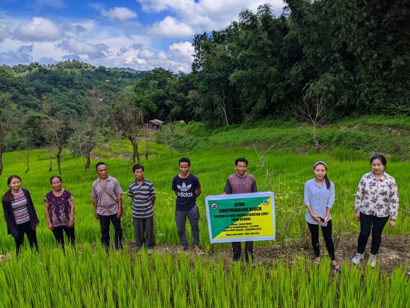 Farmers during the launching of System of Rice Intensification (SRI) Farm School in Nerhe Model village on September 4. (Photo Courtesy: ATMA Chiephobozou block)