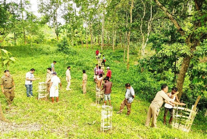 Officials and others participate in the cleanliness and plantation drive organised by Wildlife Division, Dimapur at Singphan Wildlife Sanctuary and Elephant Reserve, Mon district.