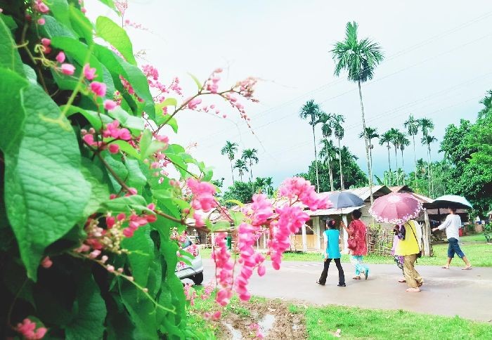Villagers walk past blooming flowers on the road side at Ngwalwa village under Peren district. (Morung Photo by Chizokho Vero)