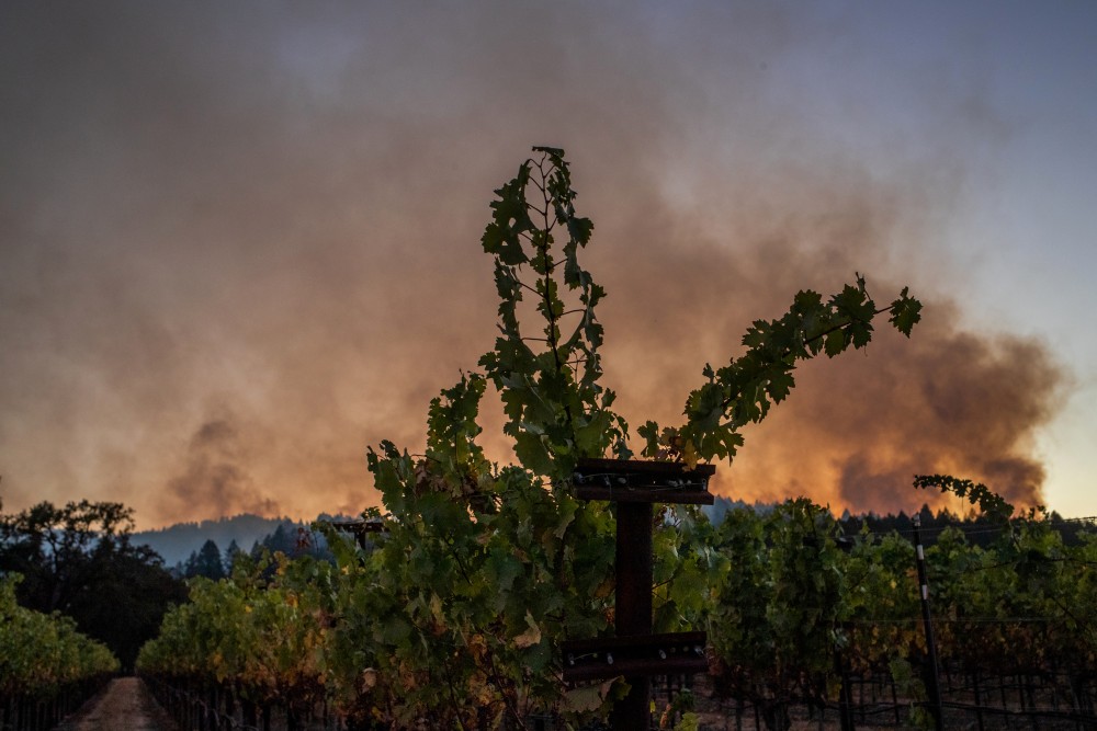 A vineyard is seen in the foreground as a helicopter drops water over the Bothe-Napa Valley State Park which was alight from the Glass Fire in Calistoga, California, U.S. October 3, 2020. REUTERS/Adrees Latif