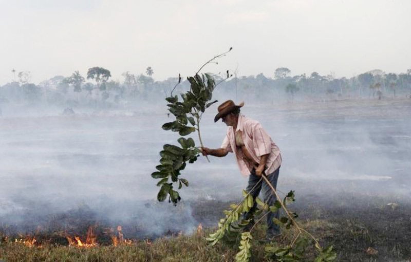 Avaci, a farm employee, fights a fire on a field after it was hit by a fire burning a tract of Amazon forest cleared by farmers, in Rio Pardo, Rondonia, Brazil. (REUTERS File Photo)