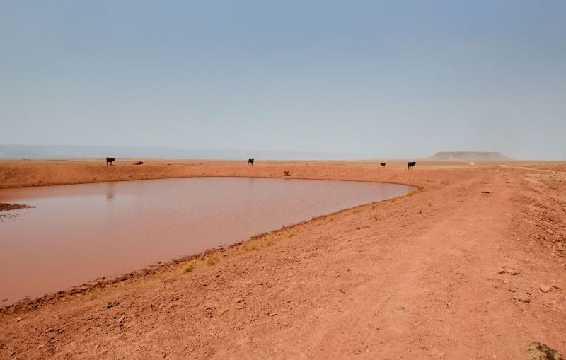 A livestock watering hole, built to contain rainwater, stands in the Bodaway Chapter in the Navajo Nation, near Gap, Arizona, U.S. September 17, 2020. (REUTERS File Photo)