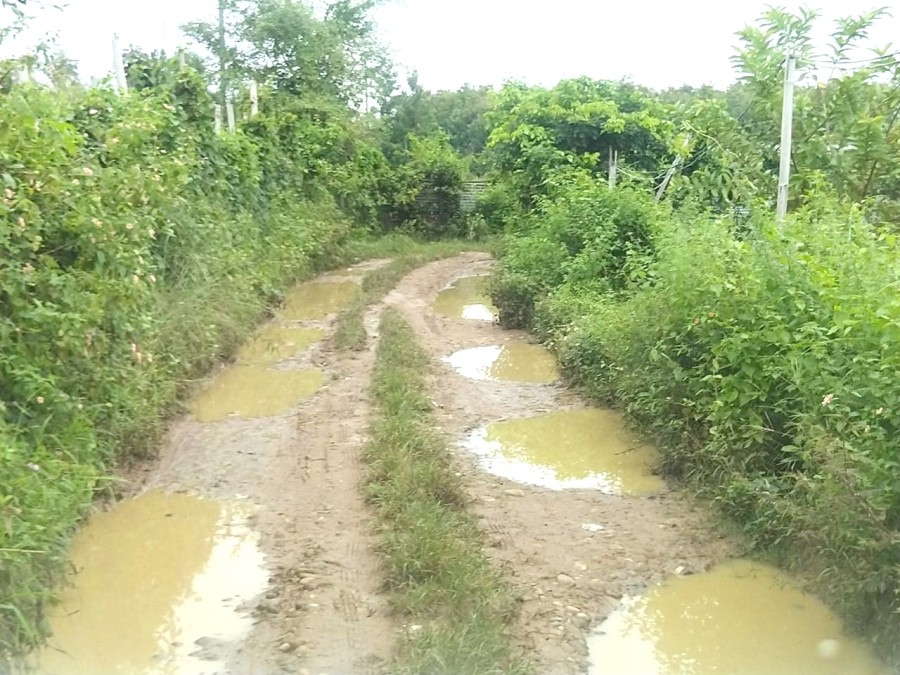 A stretch of poor road leading to new Naga Cemetery at Zani village.